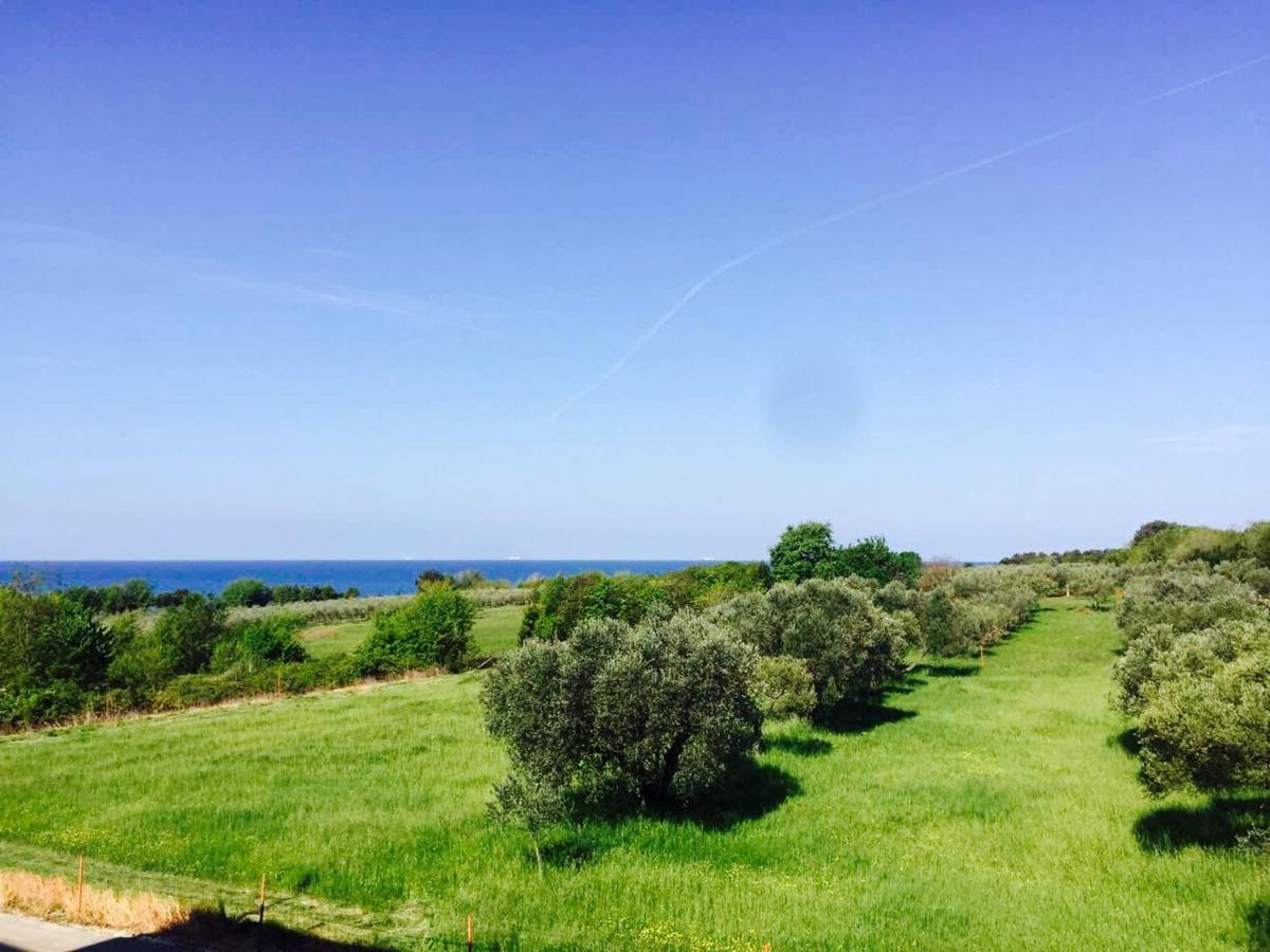 Apartment Mirella Ουμάγκ Εξωτερικό φωτογραφία